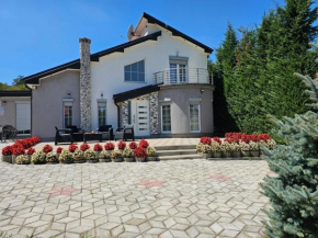 Amazing Villa with pool nearby Shtime - Ferizaj